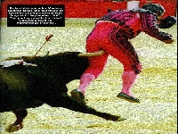 Matador.jpg