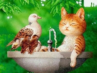birdbath.jpg